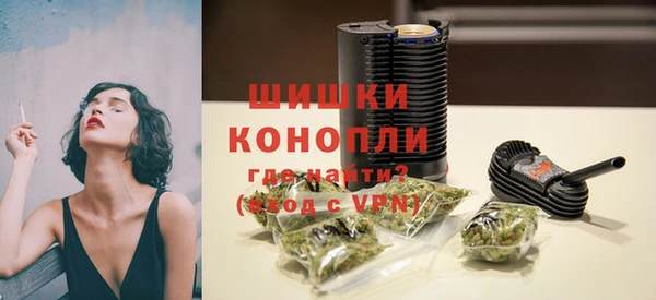 индика Балабаново