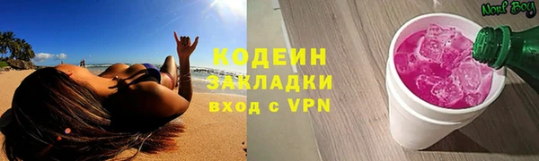 индика Балабаново