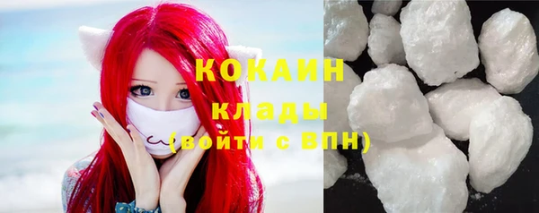 индика Балабаново
