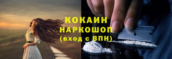 индика Балабаново