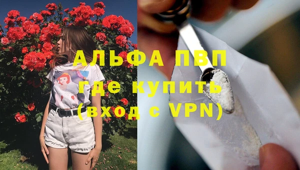 индика Балабаново