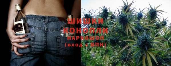 индика Балабаново