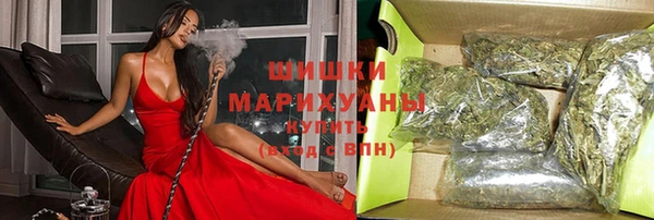 индика Балабаново
